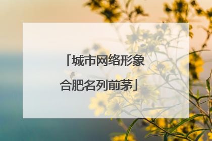 城市网络形象合肥名列前茅