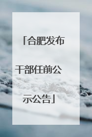 合肥发布干部任前公示公告