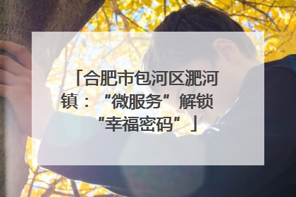 合肥市包河区淝河镇：“微服务”解锁“幸福密码”