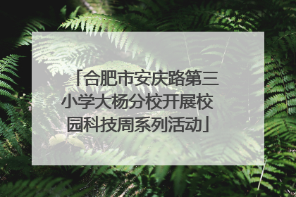 合肥市安庆路第三小学大杨分校开展校园科技周系列活动