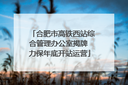 合肥市高铁西站综合管理办公室揭牌 力保年底开站运营