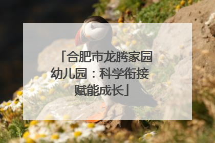 合肥市龙腾家园幼儿园：科学衔接 赋能成长