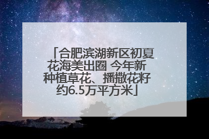 合肥滨湖新区初夏花海美出圈 今年新种植草花、播撒花籽约6.5万平方米