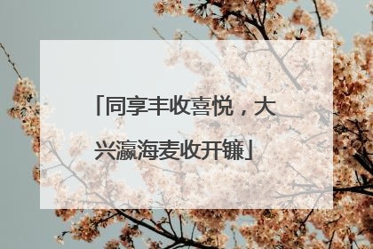 同享丰收喜悦，大兴瀛海麦收开镰