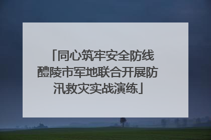 同心筑牢安全防线 醴陵市军地联合开展防汛救灾实战演练