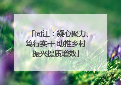 同江：凝心聚力、笃行实干 助推乡村振兴提质增效