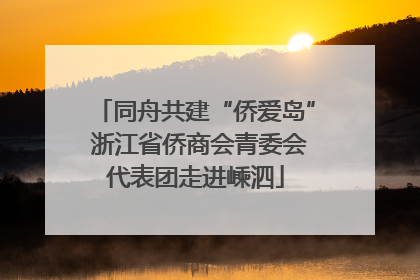 同舟共建“侨爱岛” 浙江省侨商会青委会代表团走进嵊泗
