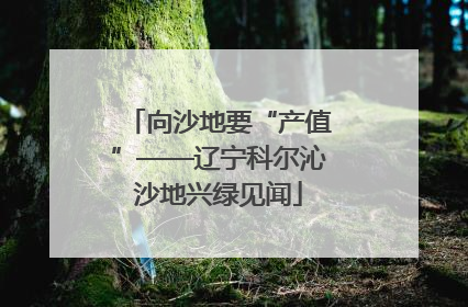 向沙地要“产值”——辽宁科尔沁沙地兴绿见闻