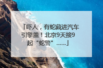 吓人，有蛇藏进汽车引擎盖！北京9天接9起“蛇警”……