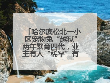 哈尔滨松北一小区宠物兔“越狱”两年繁育四代，业主有人“稀罕”有人忧，专家提醒