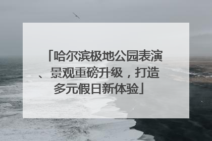 哈尔滨极地公园表演、景观重磅升级，打造多元假日新体验