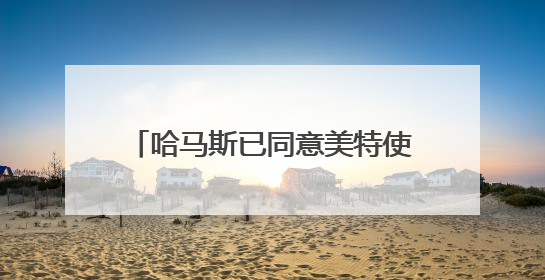 哈马斯已同意美特使提出的加沙停火方案