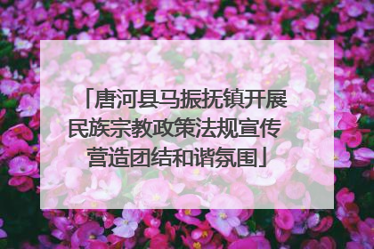 唐河县马振抚镇开展民族宗教政策法规宣传 营造团结和谐氛围