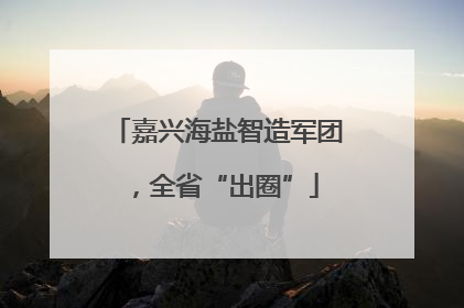 嘉兴海盐智造军团，全省“出圈”