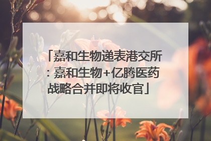 嘉和生物递表港交所：嘉和生物+亿腾医药战略合并即将收官