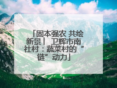 固本强农 共绘新景 ︳卫辉市南社村：蔬菜村的“链”动力