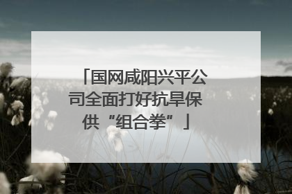 国网咸阳兴平公司全面打好抗旱保供“组合拳”