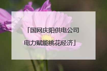 国网庆阳供电公司电力赋能桃花经济
