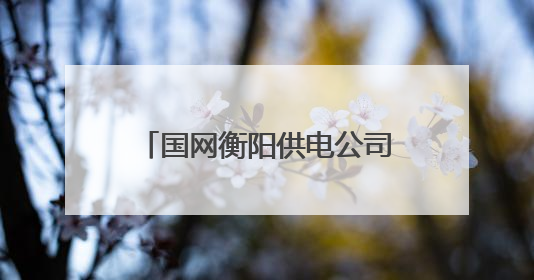 国网衡阳供电公司：为园区企业拧紧用电“安全阀”