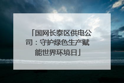 国网长泰区供电公司：守护绿色生产赋能世界环境日