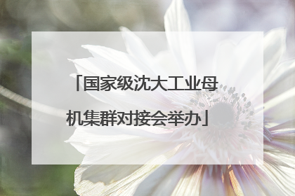 国家级沈大工业母机集群对接会举办