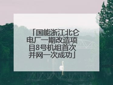 国能浙江北仑电厂一期改造项目8号机组首次并网一次成功