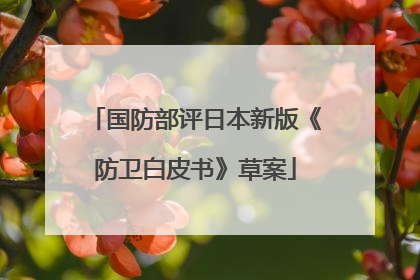 国防部评日本新版《防卫白皮书》草案