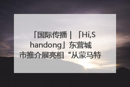 国际传播｜「Hi,Shandong」东营城市推介展亮相“从蒙马特到加里波第”文化节
