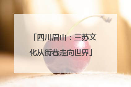 四川眉山：三苏文化从街巷走向世界