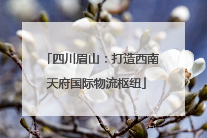 四川眉山：打造西南天府国际物流枢纽