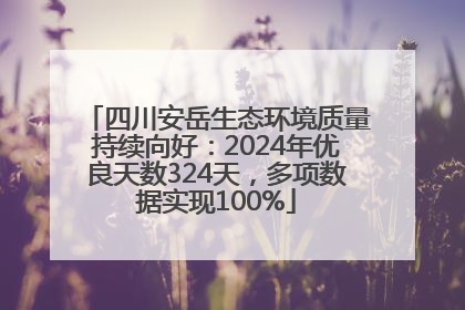 四川安岳生态环境质量持续向好：2024年优良天数324天，多项数据实现100%