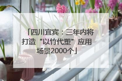 四川宜宾：三年内将打造“以竹代塑”应用场景2000个