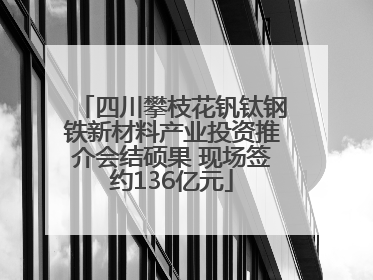 四川攀枝花钒钛钢铁新材料产业投资推介会结硕果 现场签约136亿元