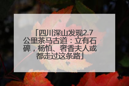 四川深山发现2.7公里茶马古道：立有石碑，杨慎、奢香夫人或都走过这条路