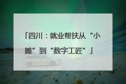 四川：就业帮扶从“小摊”到“数字工匠”