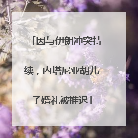 因与伊朗冲突持续，内塔尼亚胡儿子婚礼被推迟