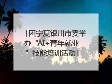 团宁夏银川市委举办“AI+青年就业”技能培训活动