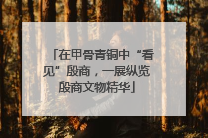 在甲骨青铜中“看见”殷商，一展纵览殷商文物精华