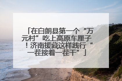 在白朗县第一个“万元村”吃上高原车厘子！济南援藏这样践行“一茬接着一茬干”