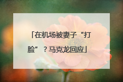 在机场被妻子“打脸”？马克龙回应