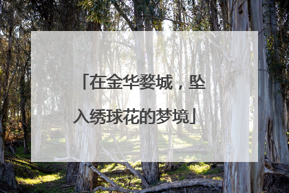 在金华婺城，坠入绣球花的梦境