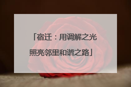 宿迁：用调解之光照亮邻里和谐之路