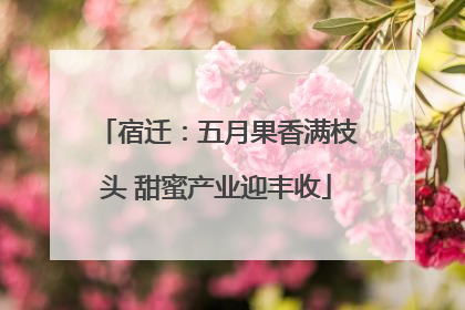宿迁：五月果香满枝头 甜蜜产业迎丰收
