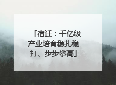 宿迁：千亿级产业培育稳扎稳打、步步攀高