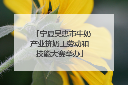 宁夏吴忠市牛奶产业挤奶工劳动和技能大赛举办