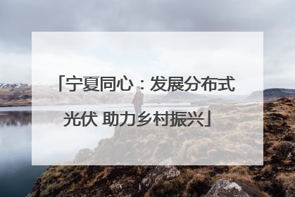 宁夏同心：发展分布式光伏 助力乡村振兴