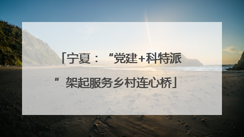 宁夏：“党建+科特派”架起服务乡村连心桥
