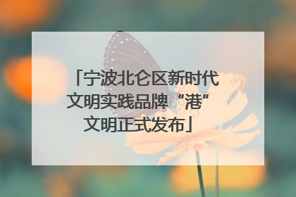 宁波北仑区新时代文明实践品牌“港”文明正式发布