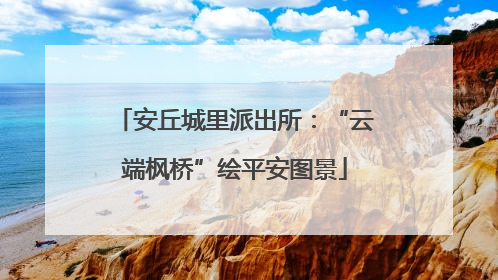 安丘城里派出所：“云端枫桥”绘平安图景