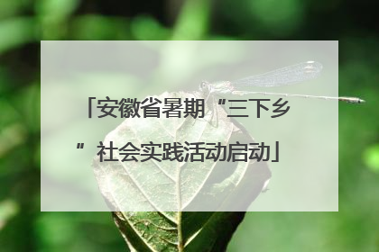 安徽省暑期“三下乡”社会实践活动启动